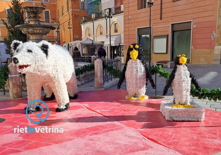 Il Natale è arrivato a Rieti. Pronti a fotografarvi con orsi e pinguini? L’8 dicembre accensione luminarie