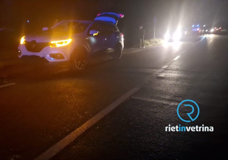 Nuovo incidente auto – cinghiale. Paura per chi era a bordo del SUV