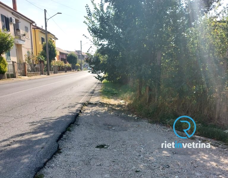 SEI TU IL REPORTER – “In via Chiesa Nuova i rami sono arrivati alla carreggiata”
