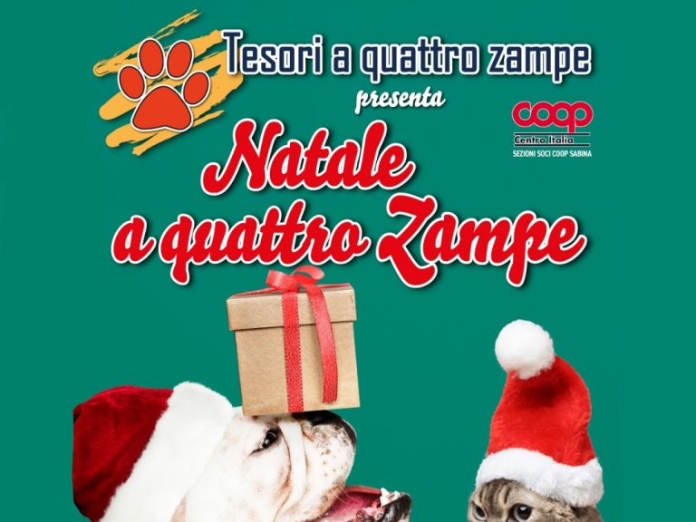 Sabato 16 dicembre a Rieti e in Sabina raccolta cibo per animali senza casa organizzata da Tesori a quattro zampe