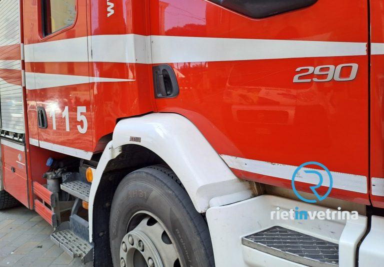 Pianta cade in strada a Campomoro. Traffico deviato