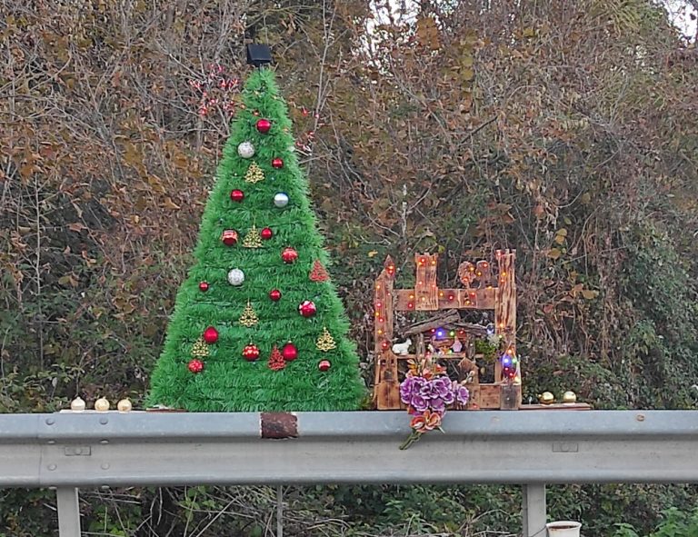 Un albero di Natale e un Presepio per ricordare il padre scomparso
