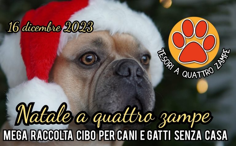 Torna la raccolta cibo di Tesori a quattro zampe per cani e gatti senza casa – I PUNTI RACCOLTA