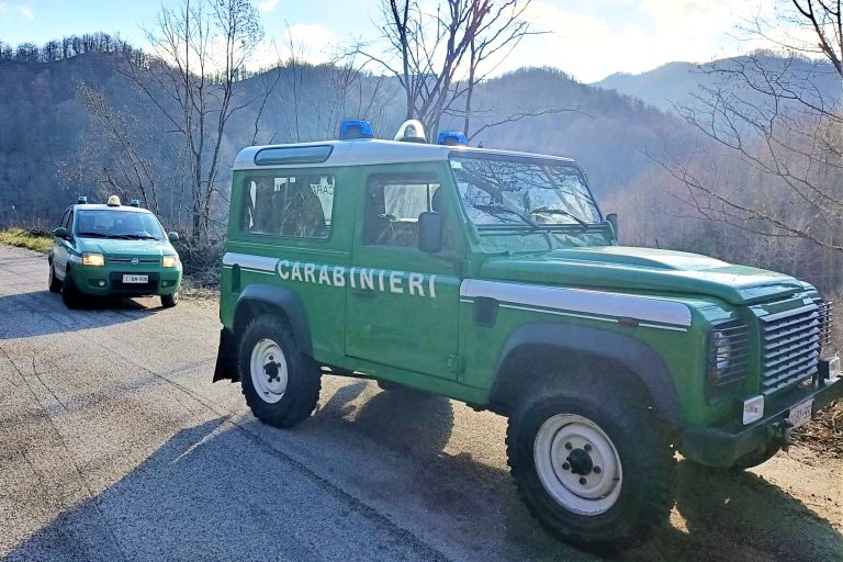Bilancio 2023 attività Arma Carabinieri Forestale