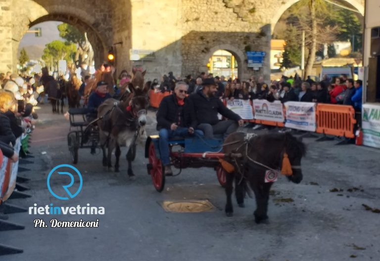 “Cavalli Infiocchettati 2024” – LE FOTO PORTA D’ARCE