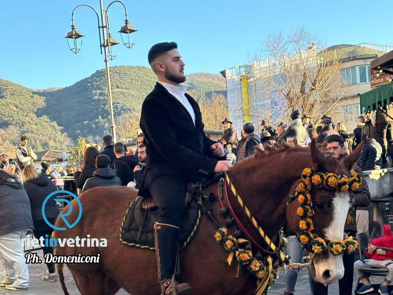 “Cavalli Infiocchettati” – FOTO PONTE ROMANO