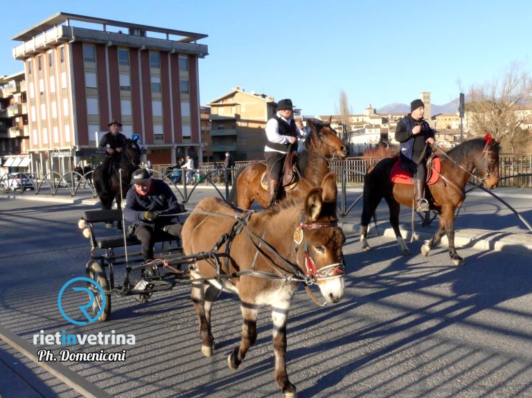 “Cavalli Infiocchettati” – FOTO VIALE MATTEUCCI