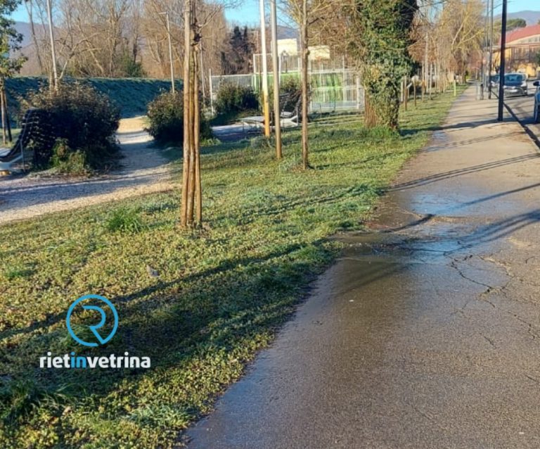 SEI TU IL REPORTER – “Si potrebbero evitare gli sprechi d’acqua nel parco di via Theseider?”