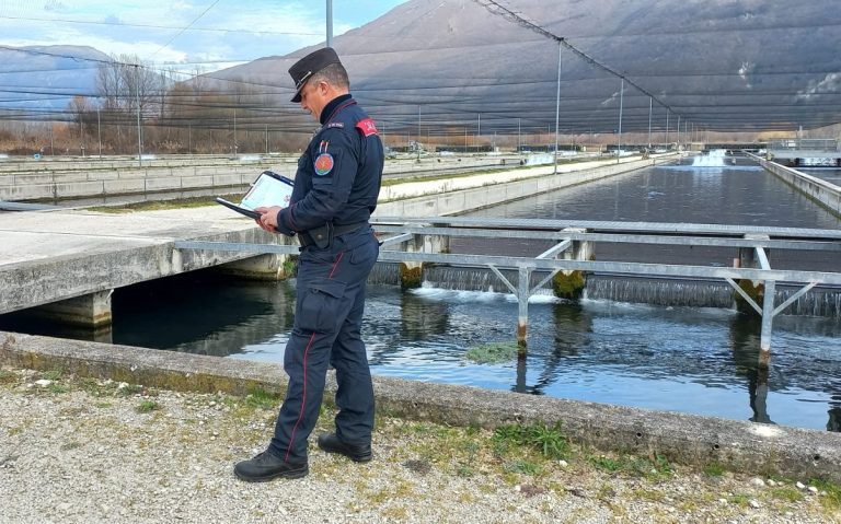 Gestione irregolare di rifiuti, Carabinieri Forestale denuncia titolare di un’impresa agricola di troticoltura