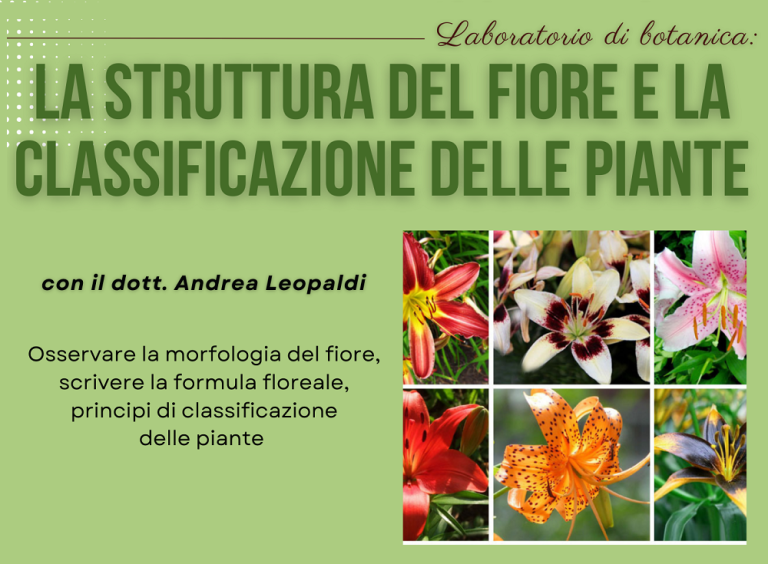 Tre nuovi appuntamenti alla Biblioteca di Poggio Mirteto, tra libri, botanica e astrobiologia