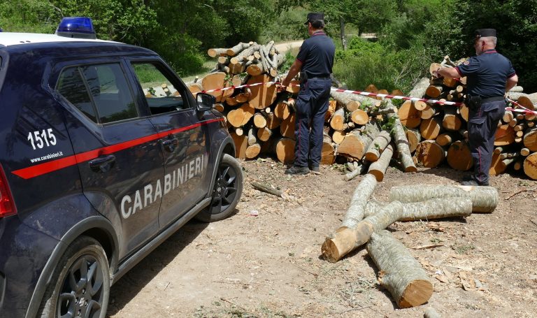 Quattro persone denunciate dai Carabinieri NIPAAF di Rieti per utilizzo illecito del patrimonio forestale