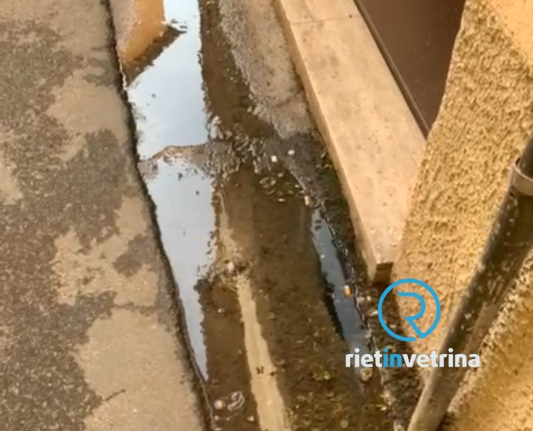 SEI TU IL REPORTER – “In via San Francesco c’è una nuova perdita di acqua”