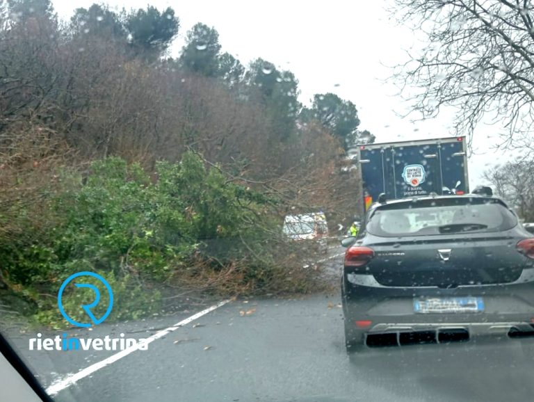 Albero caduto sulla Rieti – Terni vicino Villa Reatina. Traffico rallentato