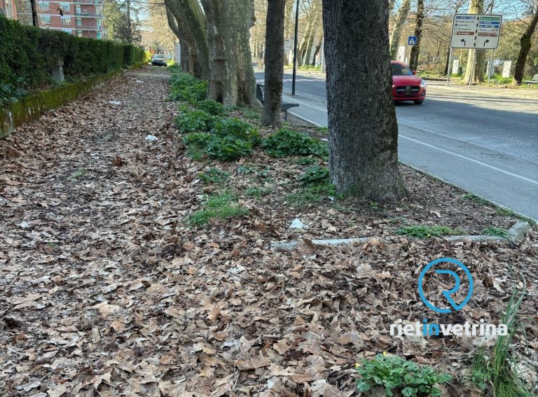 SEI TU IL REPORTER- “Vorrei segnalare le condizioni di disagio per chi passeggia in viale Maraini”