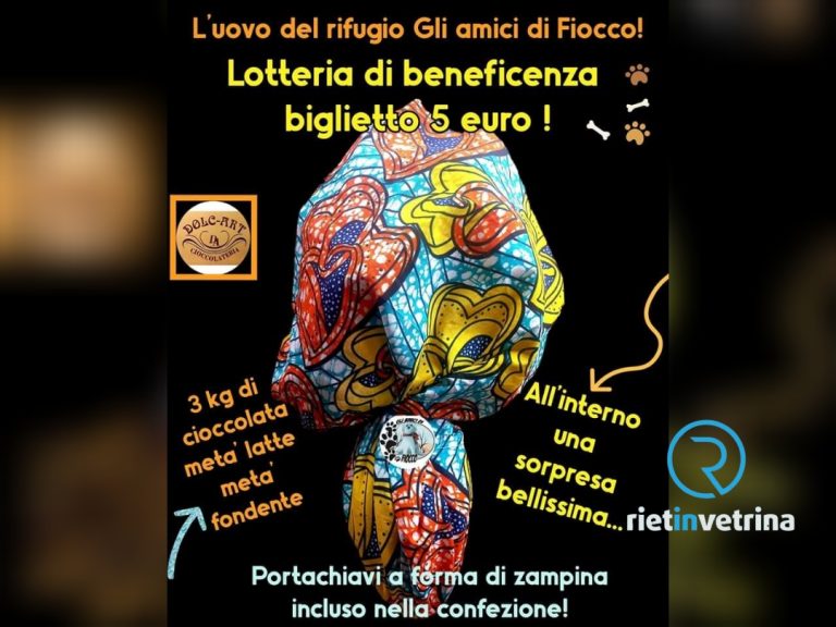 Partecipa all’estrazione di un Uovo di Pasqua. Aiuterai i cani senza casa