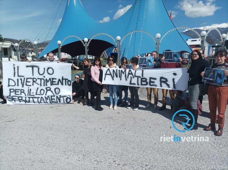 Volontari e cittadini protestano contro il Circo con gli animali di Rieti