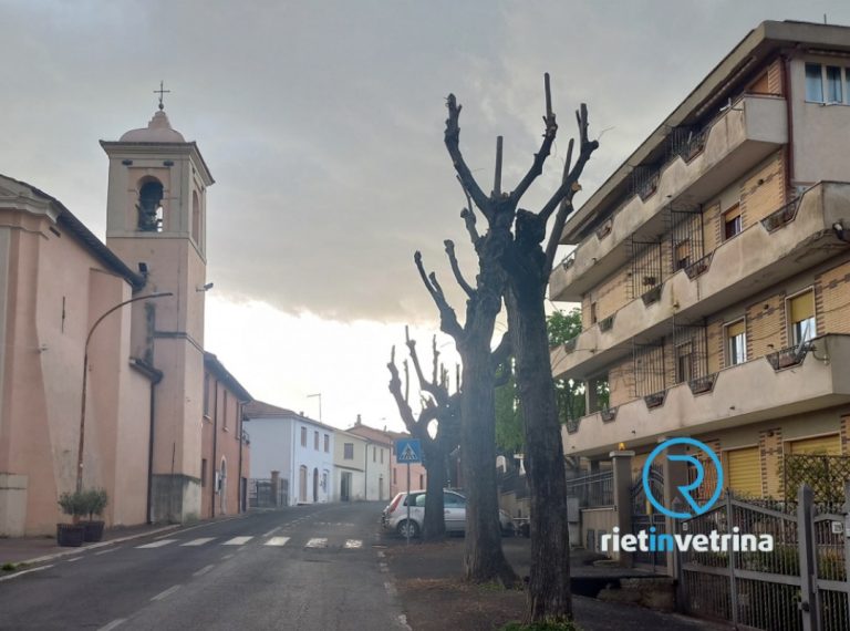 SEI TU IL REPORTER – “Gli alberi di Coltodino sono stati potati con una tecnica che li danneggia”