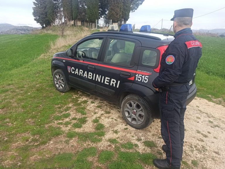 Gestione illecita di reflui zootecnici. Legale rappresentante di azienda agricola denunciato dai Carabinieri Forestale