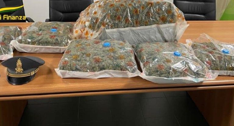 La Guardia di Finanza di Rieti sequestra 20 chili di marijuana occultata in un pacco postale