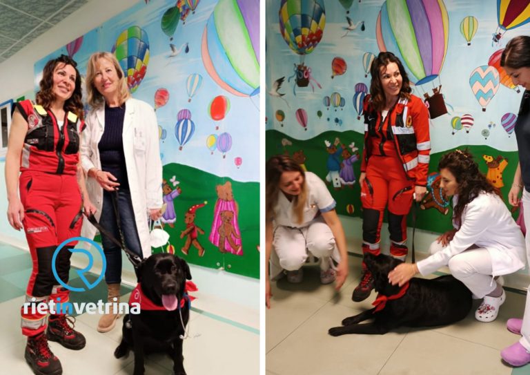Doc Aida, la dottoressa a quattro zampe entra all’ospedale de Lellis