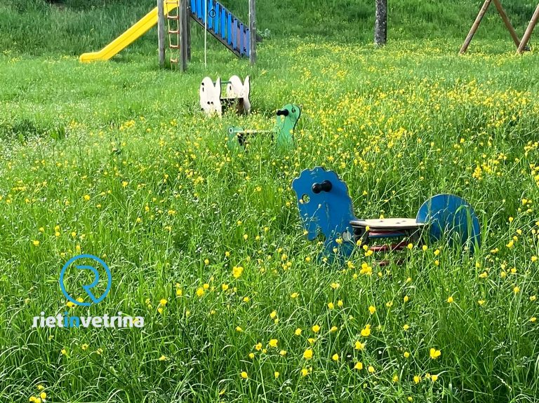 SEI TU IL REPORTER – “Per favore tagliate l’erba nel parco di via Pierluigi Mariani”