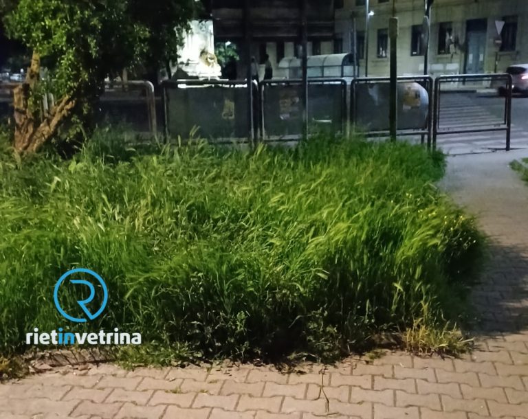 SEI TU IL REPORTER – “Pulite piazzale Berlinguer e i giardinetti della Stazione FS di Rieti”
