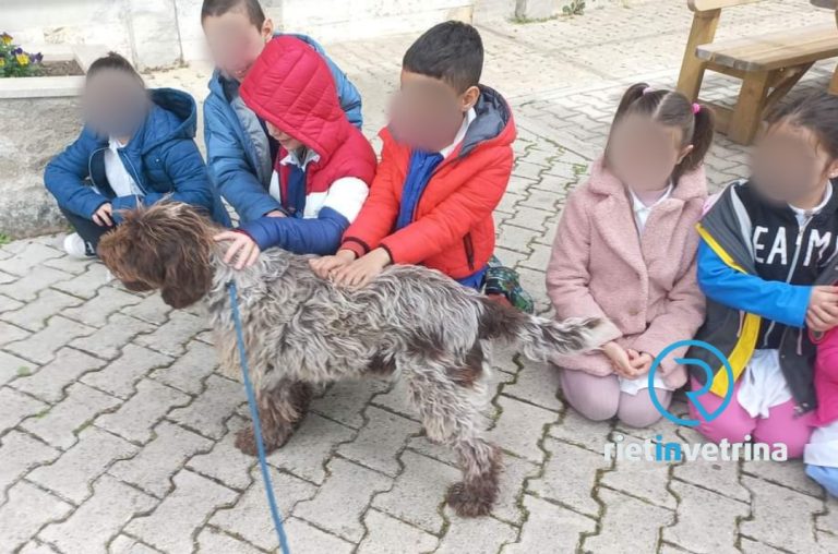 Le cagnoline Sasha e Bellina incontrano i bimbi della scuola Cirese di Rieti