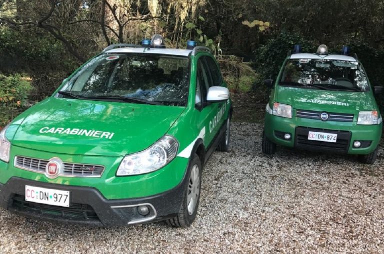 Sentivano cattivi odori in zona, residente di Cittaducale scaricava abusivamente a cielo aperto. Denunciato
