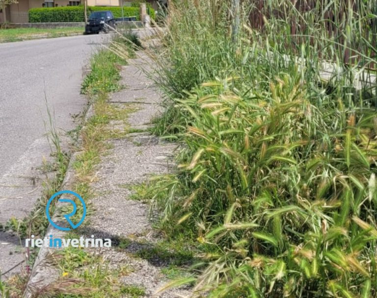 SEI TU IL REPORTER – “In via Giotto non abbiamo più il marciapiede. Il Comune di Rieti intervenga”