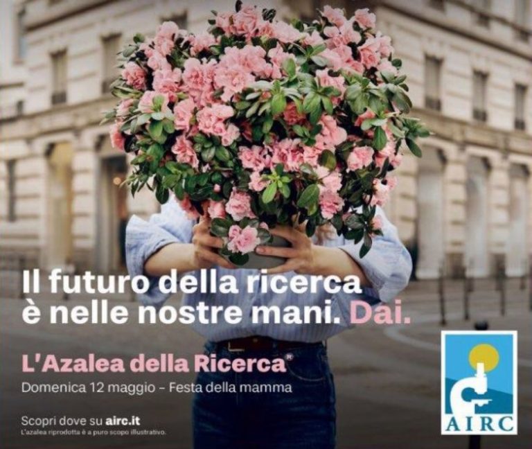 Il 12 maggio l’Azalea della Ricerca AIRC in piazza del Comune a Rieti