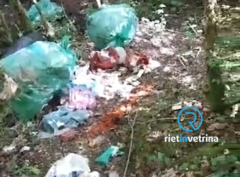 SEI TU IL REPORTER – Trovata discarica a cielo aperto bivio per Concerviano