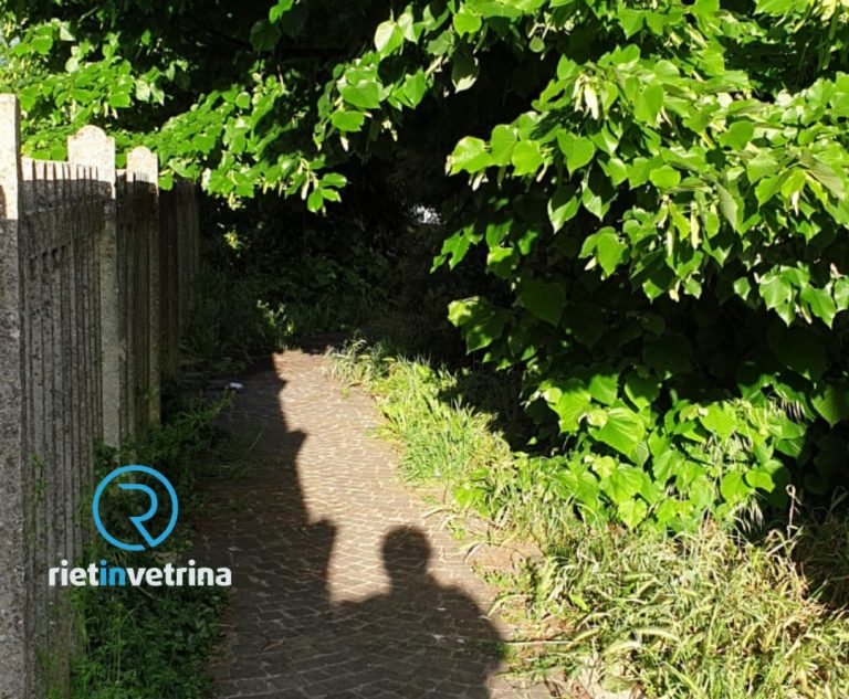 SEI TU IL REPORTER – “Il marciapiede di via Battistini è una foresta”