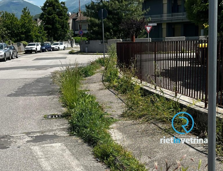 SEI TU IL REPORTER – “Area sgambamento e marciapiedi di via Giotto impraticabili per l’erba alta”