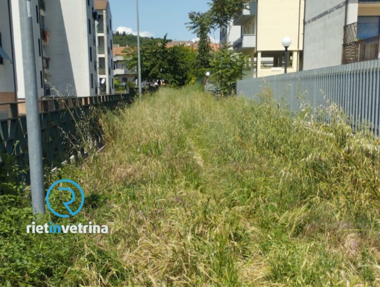 SEI TU IL REPORTER – “Il Comune intervenga in via Pollastrini e zone limitrofe: piene di erba alta e forasacchi”