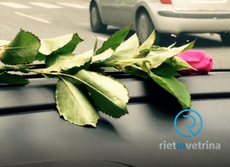 Santa Rita, oggi la benedizione delle auto