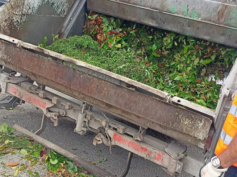 Giornata Verde, raccolti  6.000 chili di sfalci e potature