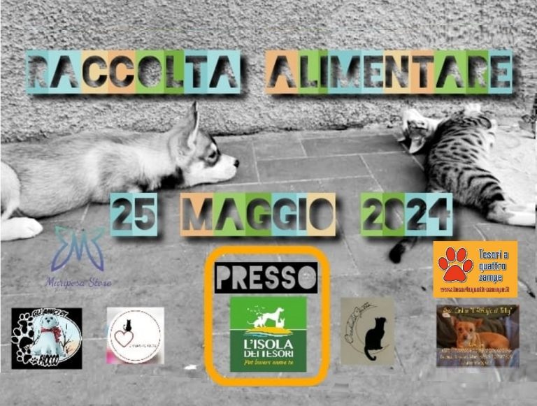 Le Associazioni animaliste reatine incontrano la cittadinanza. Raccolta cibo il 25 maggio