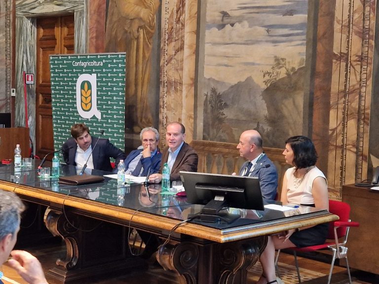Aree interne, FIIAF e La Sapienza insieme per lo sviluppo e la valorizzazione
