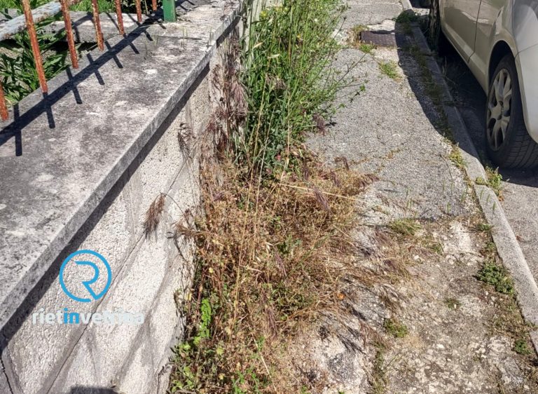 SEI TU IL REPORTER – “Il rifacimento di strade  e marciapiedi riguarderà anche via Theseider?”