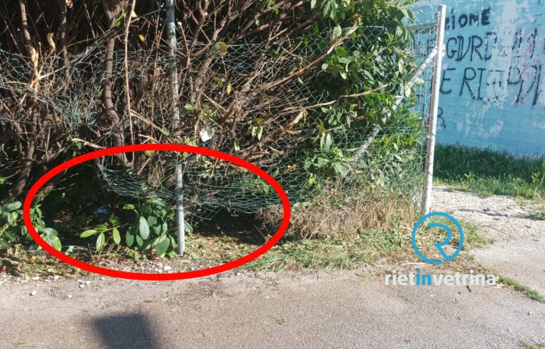 SEI TU IL REPORTER – “Nell’area sgambatura per cani di Madonna del Cuore divelta la rete. Il Comune intervenga”