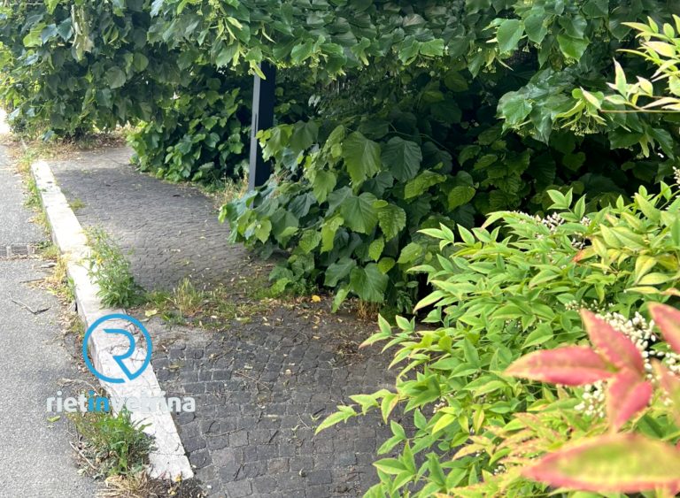 SEI TU IL REPORTER – “ASM intervenga in via Battistini per liberare il marciapiede”