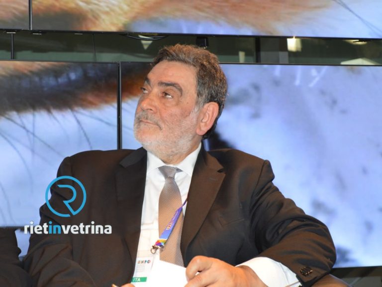 Petrella Salto, ha vinto Gaetano Micaloni