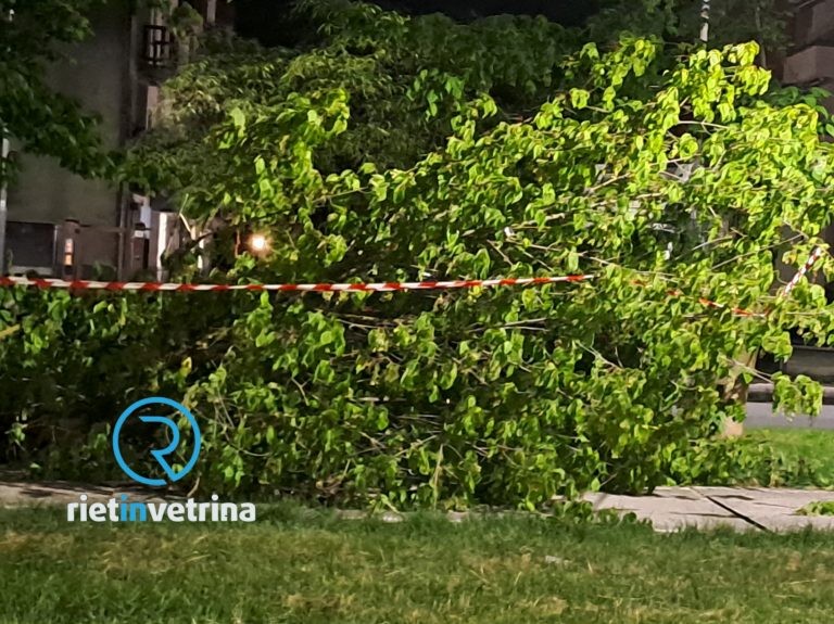 Sabato 22 giugno nuova raccolta degli sfalci. ASM in zona Foro Boario