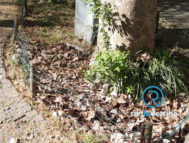 SEI TU IL REPORTER – “Viale Maraini, sfalciare l’erba non deve significare tagliare essenze arboree ornamentali”