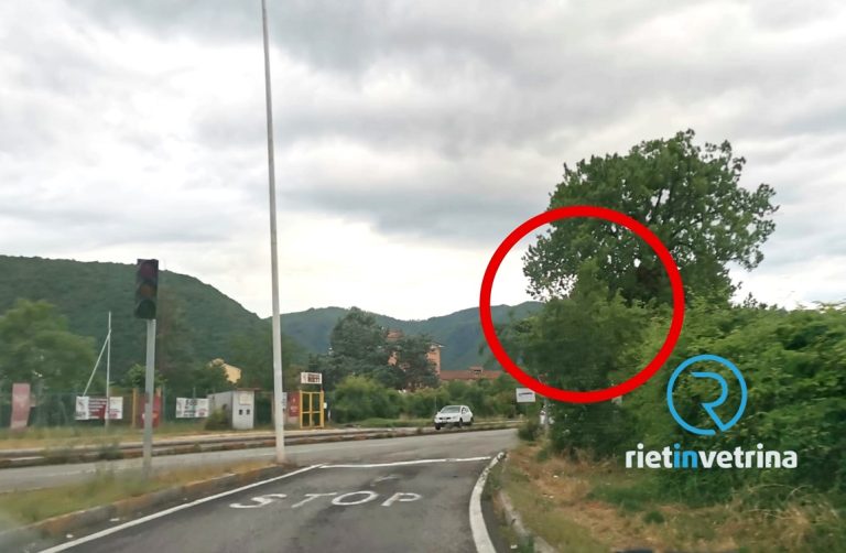 SEI TU IL REPORTER – “Rendete visibile il semaforo di via Di Fazio”