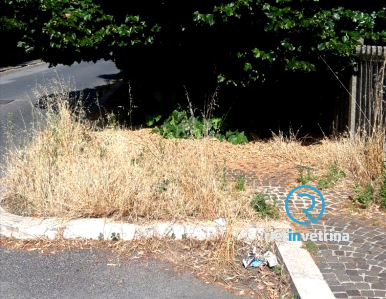 SEI TU IL REPORTER – “In via Battistini per l’erba alta si cammina in strada. Anche i lampioni coperti dalla vegetazione”