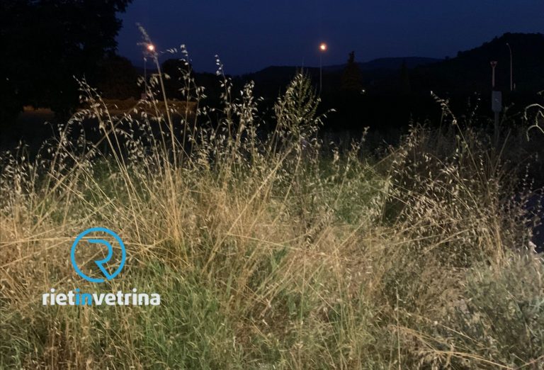 SEI TU IL REPORTER – Laura: “Prima di riavere la Savana sotto casa intervenite in via Cipriani”