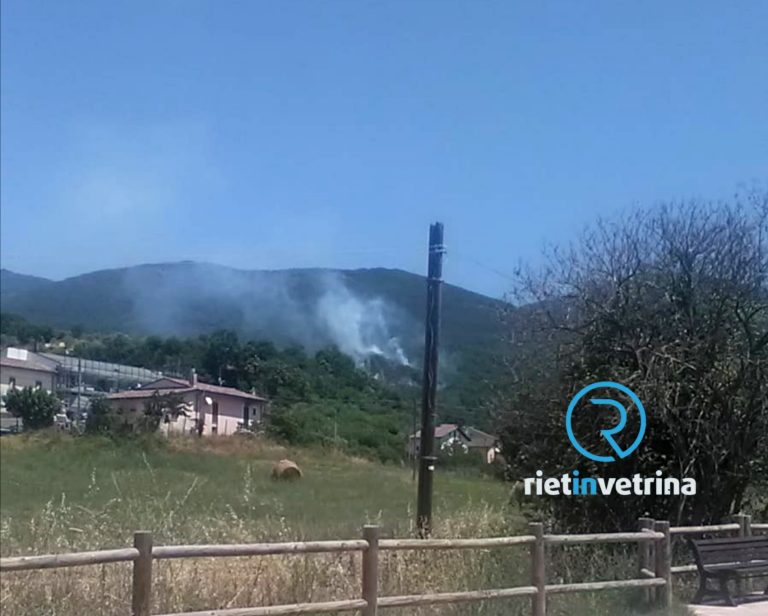 Incendio boschivo zona Santa Rufina. Pompieri sul posto