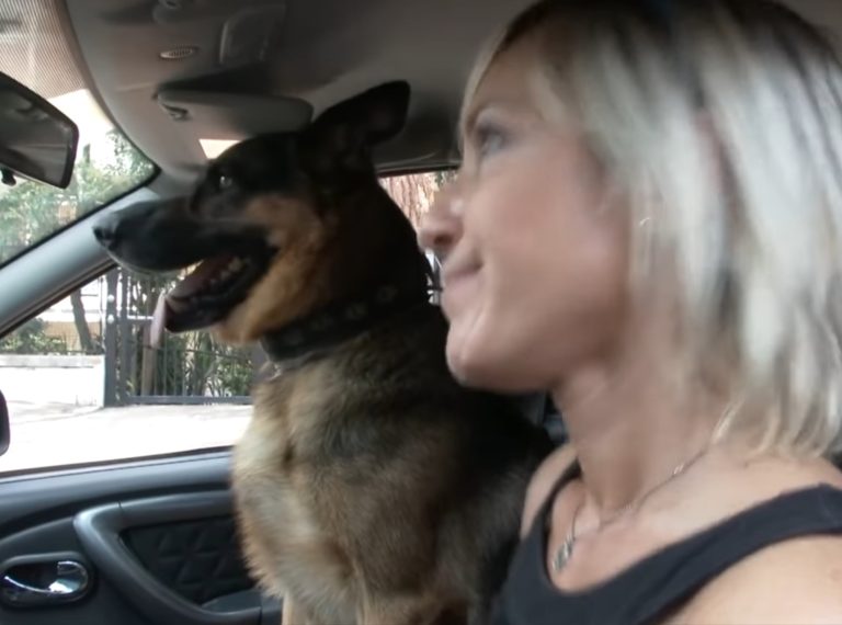 VIDEO – Lo spot della Polizia di Stato contro l’abbandono degli animali