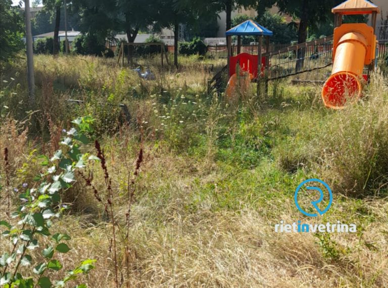 SEI TU IL REPORTER – Chiara: “Il parco di via Contigliano a Rieti con l’erba alta dalla scorsa estate”